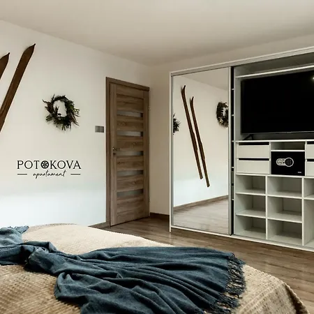 Potokova Centrum Apartment Zakopane
