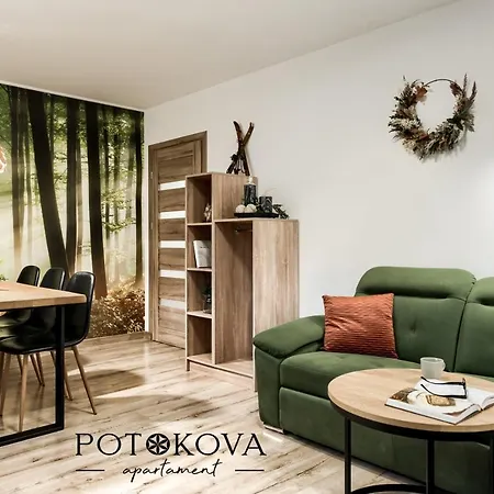 Potokova Centrum Apartment *